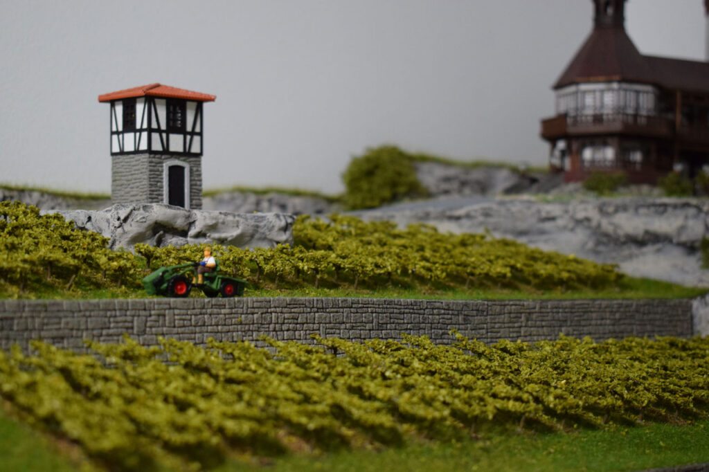 Aussichtsturm mit Ausblick auf die Weinberge und Burgschloss