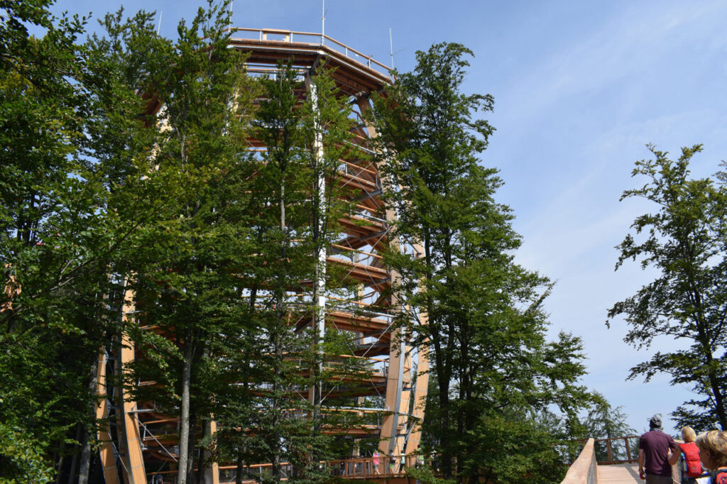 Baumwipfelpfad - Salzkammergut (Österreich) - Der Turm