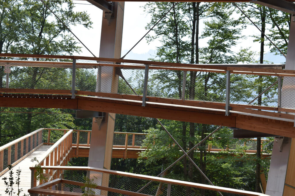 Baumwipfelpfad - Salzkammergut (Österreich) - Laufsteg